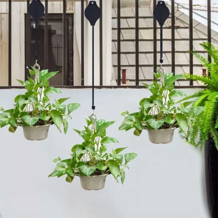 2+2 Free | Simple Plant Hanging Set - Image 12
