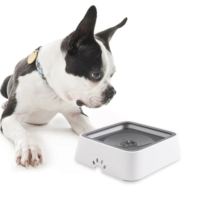 AquaPaw™ — Enjoy Calm, Splash-Free Sips That Keep Your Floors Spotless and Your Pup Happy - Image 2