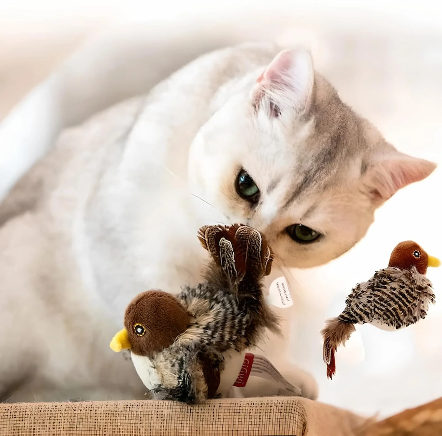 Feline Hunt™ | Awaken your cat's wild instinct! - Image 8