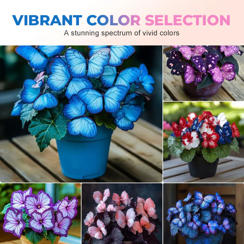 FlutterMuse™ Butterfly Bloom Seeds — Transform Your Garden into a Magical Butterfly Wonderland - Image 4