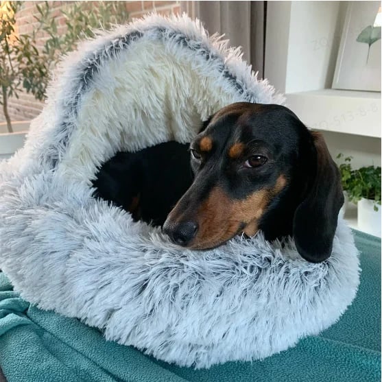 LunaNest™ — Cradle Your Pet in Soothing Warmth and Unshakable Calm - Image 8