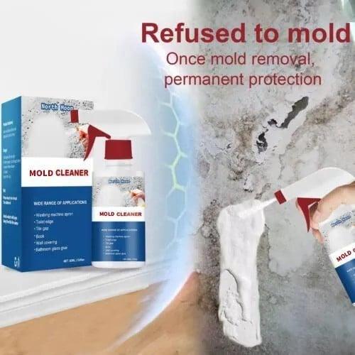 MoldBlitz™ — Crush Mold Fast and Reveal Sparkling Clean Surfaces Instantly - Image 5