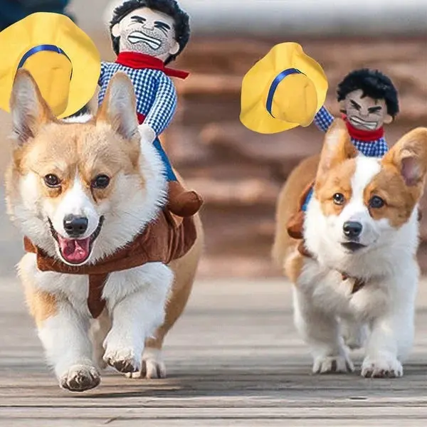 PhantomCharm™ — Turn Your Pet Into the Irresistible Halloween Showstopper Everyone Loves - Image 13