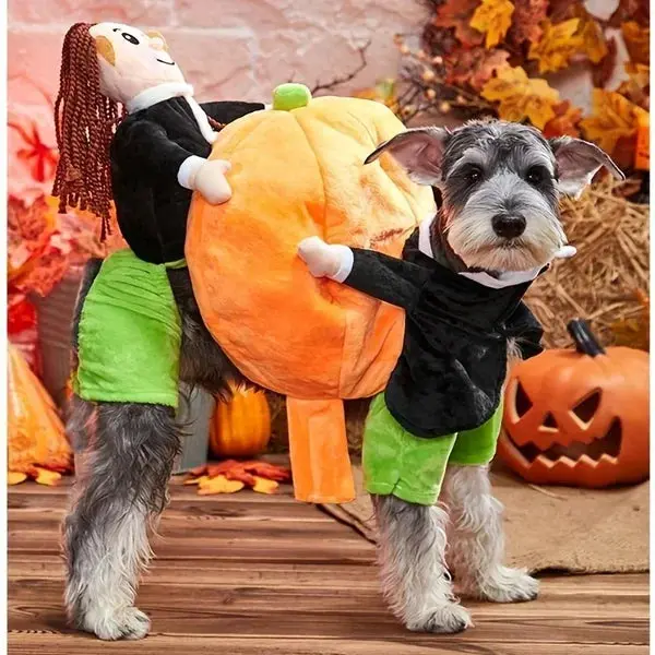 PhantomCharm™ — Turn Your Pet Into the Irresistible Halloween Showstopper Everyone Loves - Image 17