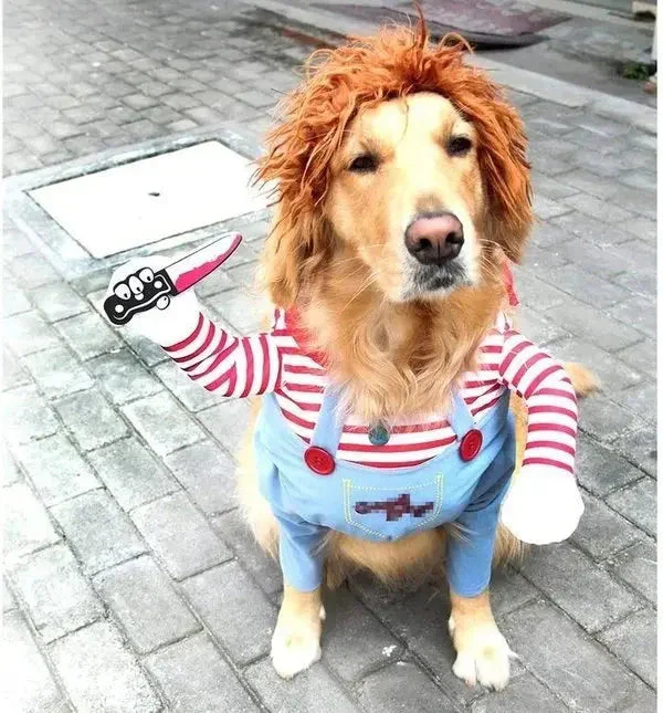 PhantomCharm™ — Turn Your Pet Into the Irresistible Halloween Showstopper Everyone Loves - Image 3