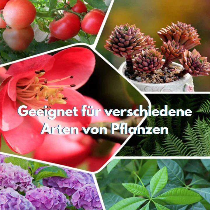 1+1 FREE | GrowBoost - Revive plants environmentally friendly! [Last Day Discount] - Image 4