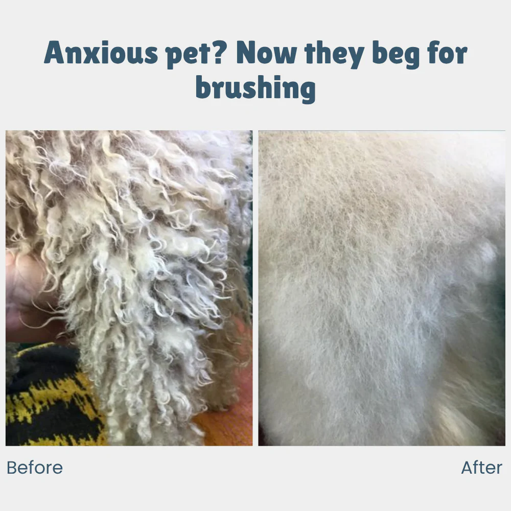 SteamSleek™ — End Shedding Struggles and Gift Your Pet a Silky, Stress-Free Glow - Image 5