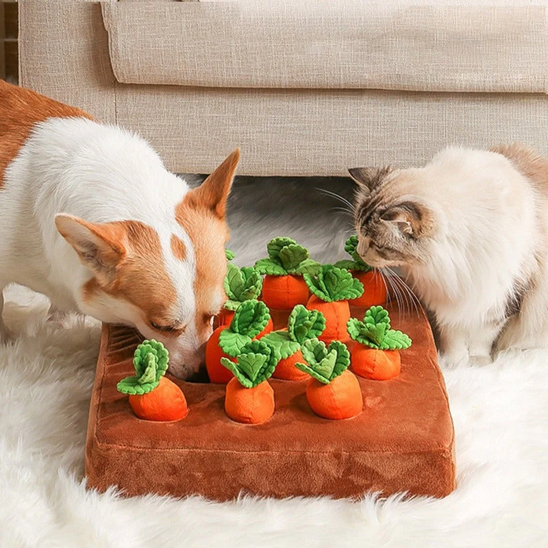 TerraSniff™ — Unlock Endless Play and Calm Your Dog’s Mind Every Day