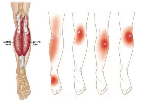 ThermaFlex™ — Feel the Soothing Heat That Frees Your Knees and Fuels Your Freedom - Image 5