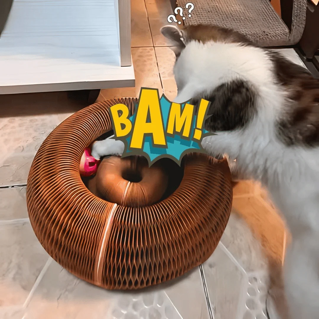 WhiskerWhirl™ — Turn Restless Paws Into Pure, Unstoppable Play Joy - Image 4