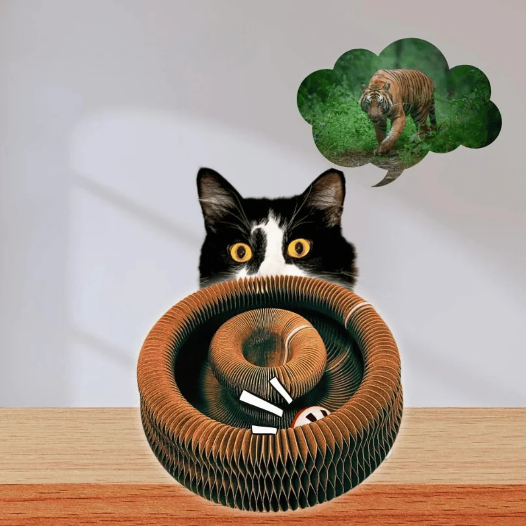 WhiskerWhirl™ — Turn Restless Paws Into Pure, Unstoppable Play Joy - Image 5
