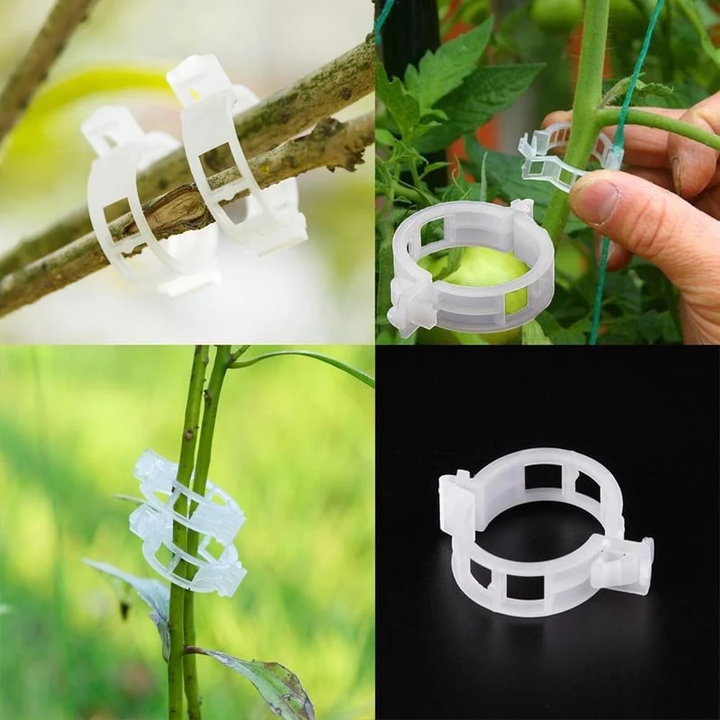 VerduraClips™ — Transform Your Garden with Triple-Speed, Damage-Free Growth - Image 2