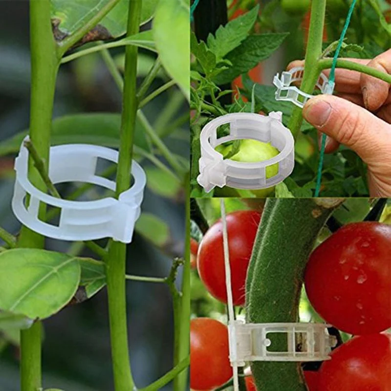 VerduraClips™ — Transform Your Garden with Triple-Speed, Damage-Free Growth - Image 4