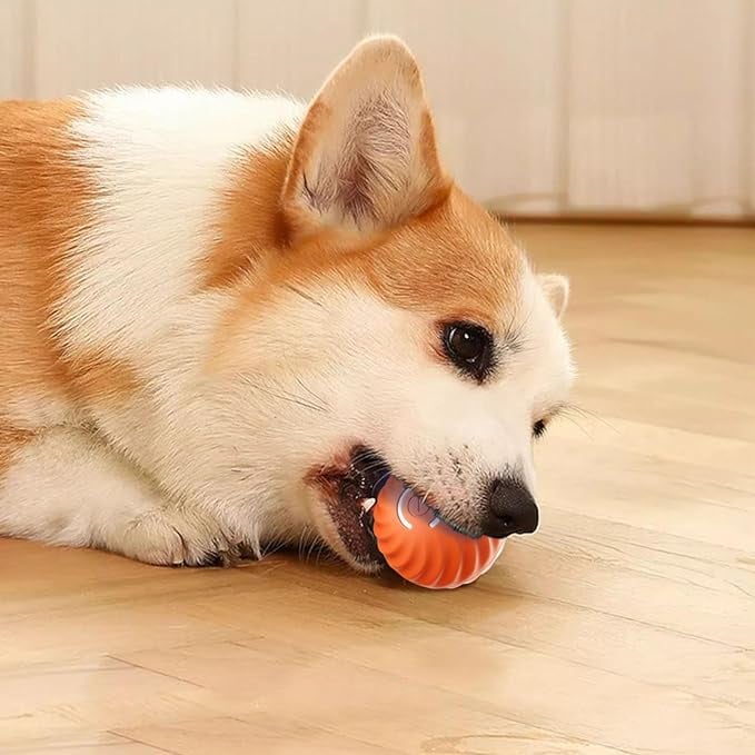 VitaPounce™ — Ignite Your Dog’s Wild Instincts with Endless, Hands-Free Play - Image 11