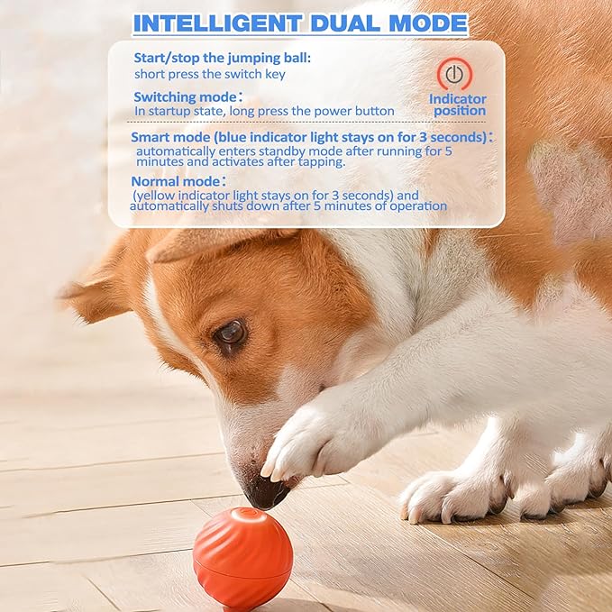 VitaPounce™ — Ignite Your Dog’s Wild Instincts with Endless, Hands-Free Play - Image 12