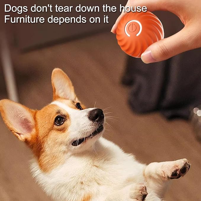 VitaPounce™ — Ignite Your Dog’s Wild Instincts with Endless, Hands-Free Play - Image 13