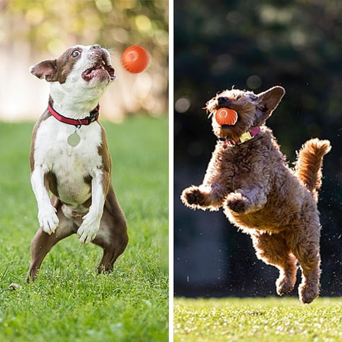 VitaPounce™ — Ignite Your Dog’s Wild Instincts with Endless, Hands-Free Play - Image 14