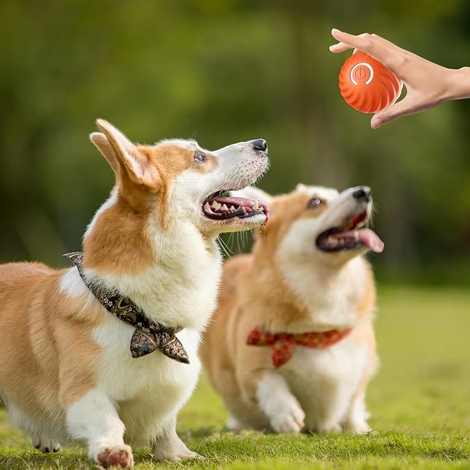 VitaPounce™ — Ignite Your Dog’s Wild Instincts with Endless, Hands-Free Play - Image 15