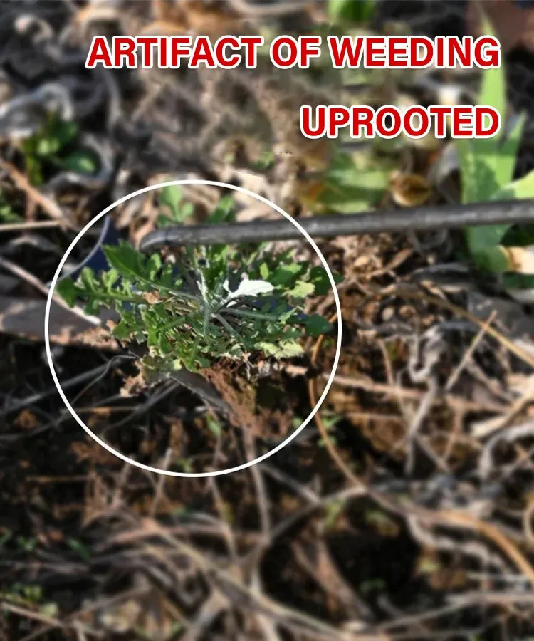 WeedMaster - Your Ultimate Weeding Tool - Image 2