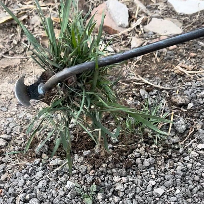 WeedMaster - Your Ultimate Weeding Tool - Image 7